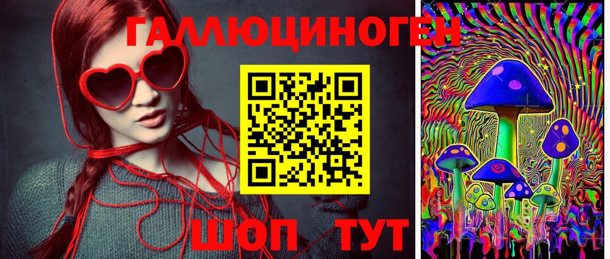 Псилоцибиновые грибы Psilocybe  Вход с VPN  Мытищи 